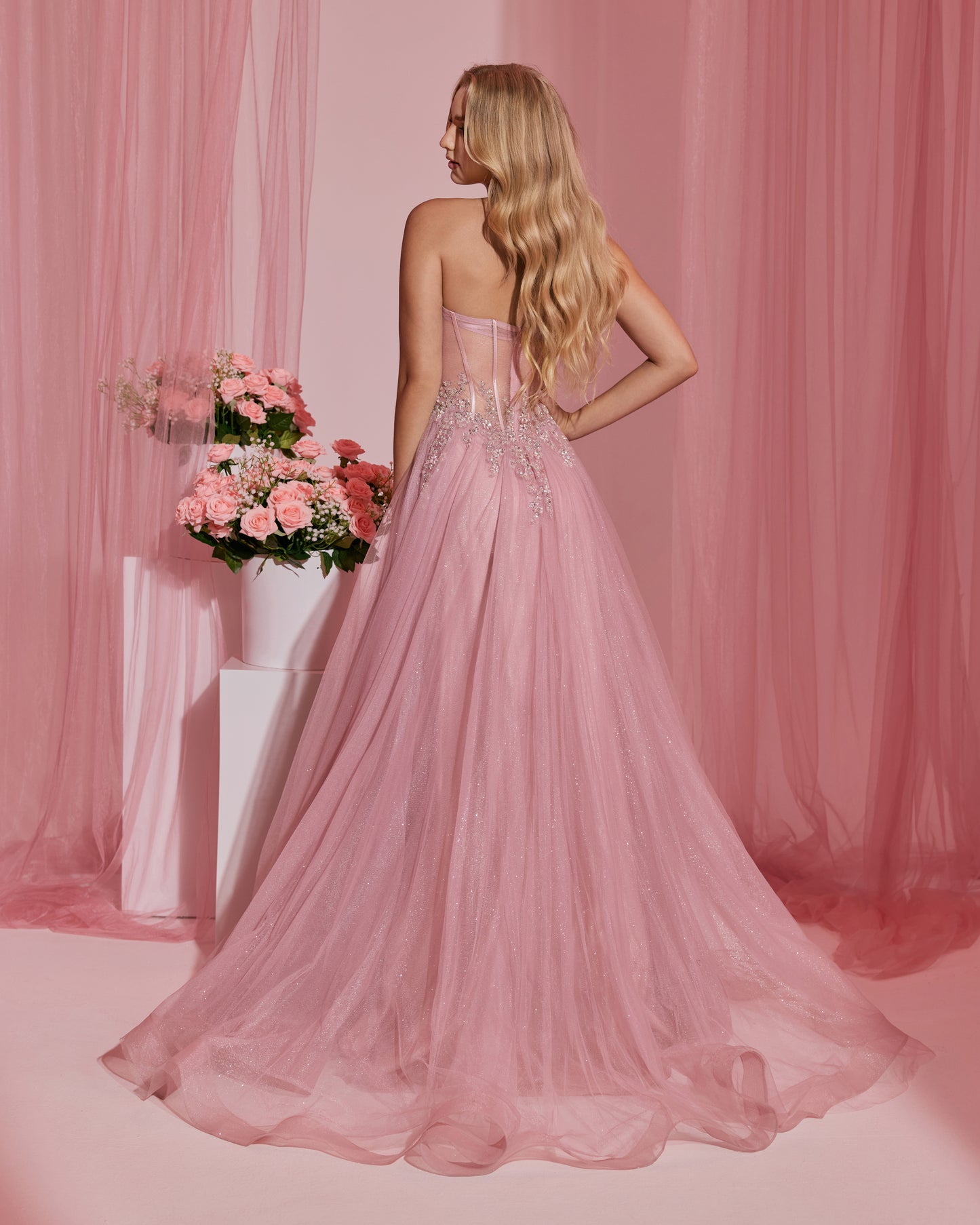 SH0001 CHAMPAGNER